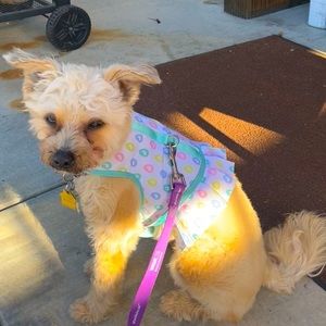 Meet your Posher, Gloria